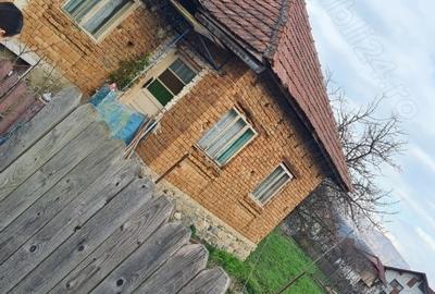 Casă în Jiblea Nouă - 5