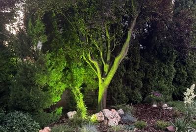 Casă de vânzare P+M i cartierul Alfa Land - 2