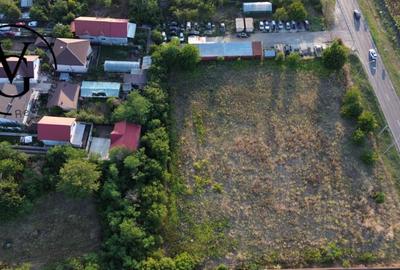 Teren intravilan -2679 mp-Branesti / Islaz - 4