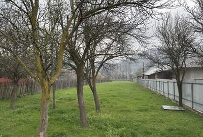 Teren de 2600 mp, în Central - 1