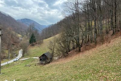 Teren de 12877 mp, în Bulz - 4