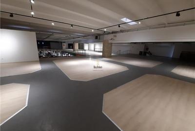 Spatii Comerciale - 500 mp - Showroom - Comert - 14