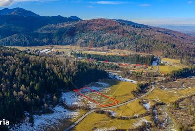 Spațiu comercial, în Brădet - 9