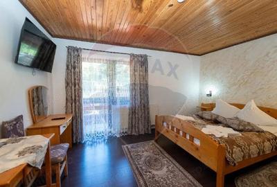 Hotel / Pensiune cu 33 camere de vanzare - 19