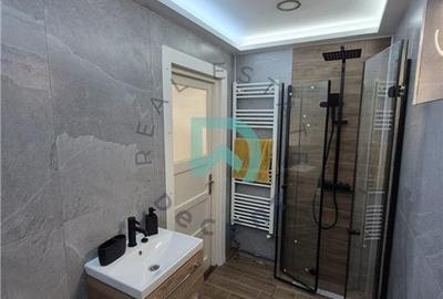 Apartament cu 2 camere decomandat în Turnișor - 7