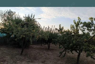 Casă cu 3 camere în Segarcea-Deal - 1