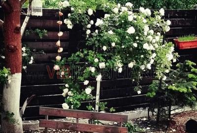 Apartament cu 2 camere decomandat, mobilat în Odăi - 11