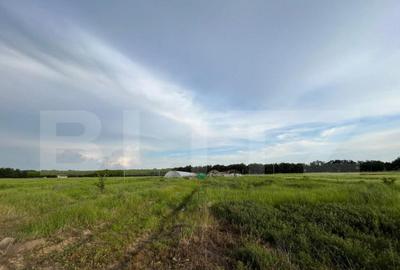 Teren par?ial intravilan 23.500 mp, apa, curent ?i suprav Teren par?ial intravilan 23.500 mp, apa, curent ?i suprav - 6