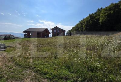 Teren extravilan, cu autorizatie de constructie casa, 875 mp - 3