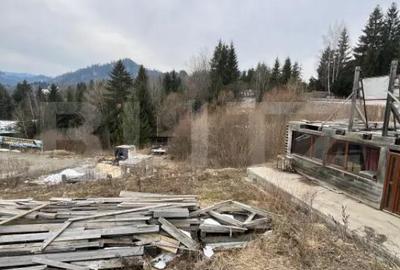 Teren în Colibița - 3