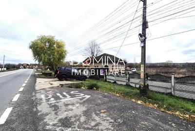 Teren de 6524 mp, în Iezureni - 5