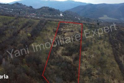Teren de 14328 mp, în Nucșoara - 2