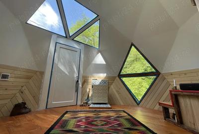 Oportunitate unica ! Proprietate in parc na?ional pe malul Cernei ! - 7