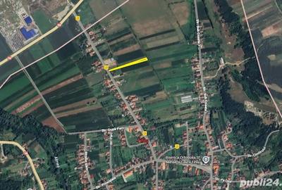 Teren de 2400 mp, în Tihău - 3