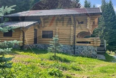 Cabana in inima muntilor,acces la partia de schi din Borsa,teren2200mp Cabana in inima muntilor,acces la partia de schi din Borsa,teren2200mp - 18