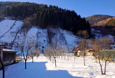 Teren intravilan cu 2 case traditionale in Sibiu Rau Sadului - 8