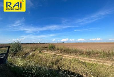 Terenuri cu deschidere 20m la Centura in suprafata  de 5950 mp si 6481 mp - 6