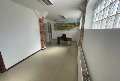Clădire multifuncțională de închiriat – 528 mp utili - 8