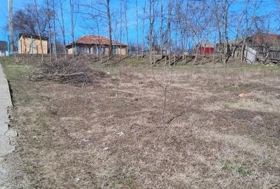 Teren Construcții intravilan de 1500 mp, în Muntenii de Jos - 4