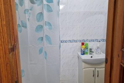 Garsoniera de inchiriat Gorjului - 2