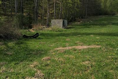 Vanzare teren exceptional, Valea Doftanei, Florei-Secaria, 22000mp, 250 000 euro - 9