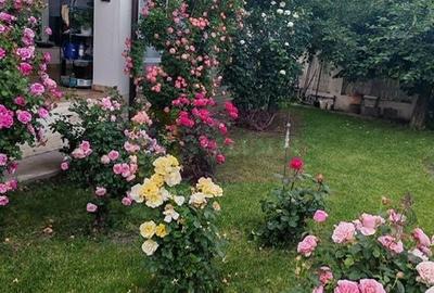 Casă cu 4 camere cu Teren 510 Mp în Săftica - 5