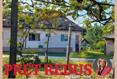 DE VANZARE- GOSPODARIE cu 95 arii teren - 16