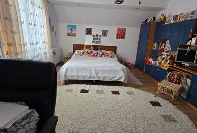 Utvin-Central-Vila S+P+E+M-360mp-2 accese-Garaj - 19