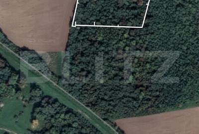 Spațiu comercial, în Șag