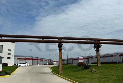 RECO Hala industriala zona de vest - 2