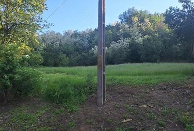 Teren de 5000 mp, în Podenii Vechi - 1