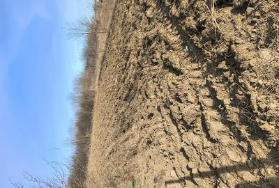 Teren de 900 mp, în Cuza Vodă (Popricani) - 1