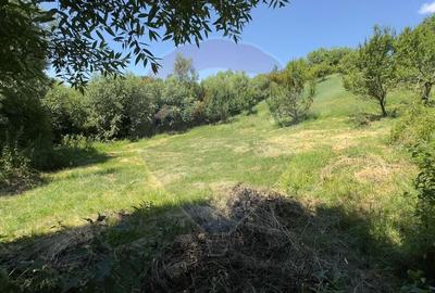 Teren Intravilan 3000 mp in Valea Mare-Pravat la Super Pret - 6
