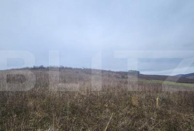 Teren intravilan 4774 mp de vanzare in Livezeni - 3