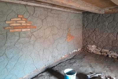 Casă cu 6 camere în Daneș - 1