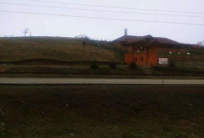 Spațiu comercial, în Paltin - 14