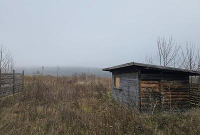 Casa Bucium - Poieni 6.200mp - 2