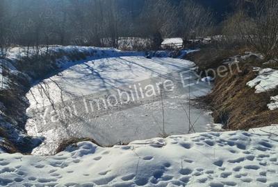 Casă în Vernești - 11