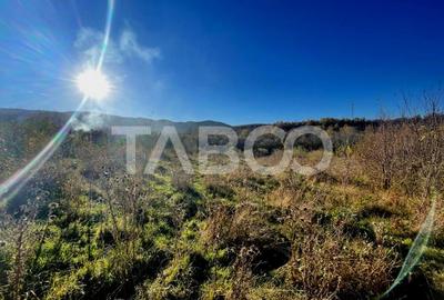 Investitie imobiliara Teren 14100 mp cu PUZ si PUD aprobat in Cisnadie - 3