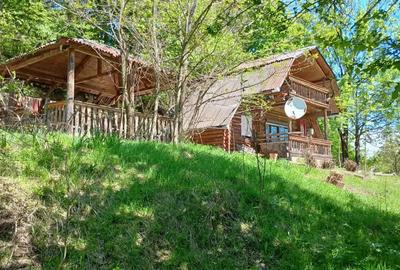 Casă cu 2 camere cu Teren 3400 Mp în Ghelari - 17