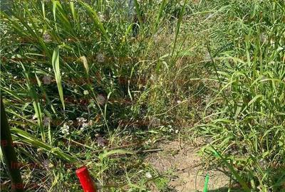 Vanzare teren localitatea Magurele Vanzare teren localitatea Magurele - 4