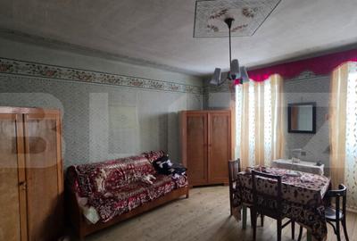 Casa cu teren 32 ari Viile Tecii, la 30 km de Bistri?a - 3