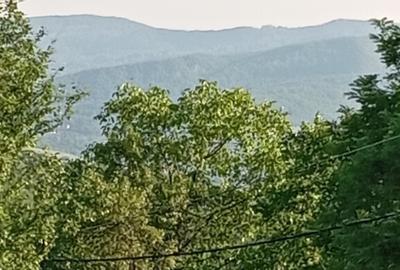 Teren 1600mp de VIS Daesti altitudine 600m Utilitati liniste Totala - 1