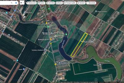 Teren Construcții intravilan de 11906 mp, în Berceni