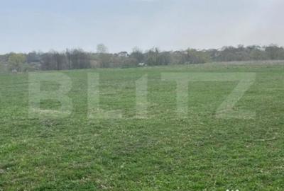 Teren de 5933 mp, în Central - 4