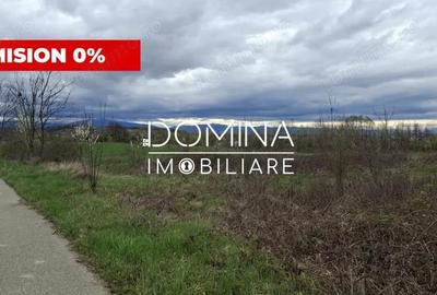 Teren de 20386 mp, în Câlnic - 2