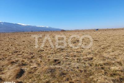 Spațiu comercial, în Dejani - 1