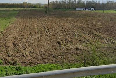 Teren de 7500 mp, în Cernele - 10