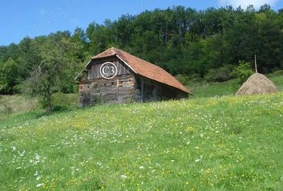 Vand Proprietate (casa, ?ura ?i teren) in Valea Bradului, Mun. Brad, Jud. Hunedoara - 7