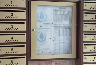 Apartament cu 2 camere semidecomandat, mobilat în Rahova - 10